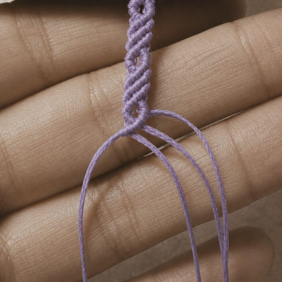 Wisteria